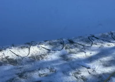 Exceptional Roofing Services